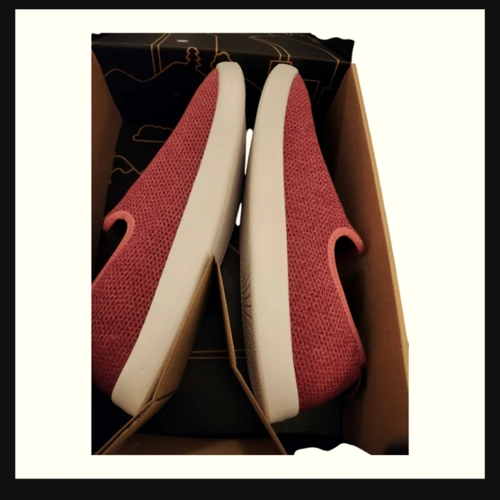 NIB Allbirds Men's Tree Loungers Lux Pink Blizzard (Burgundy) 13